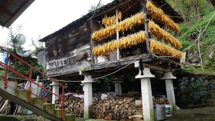 Yamaçtan koptu, evin yanına düştü! Faciaya kıl payı... G2