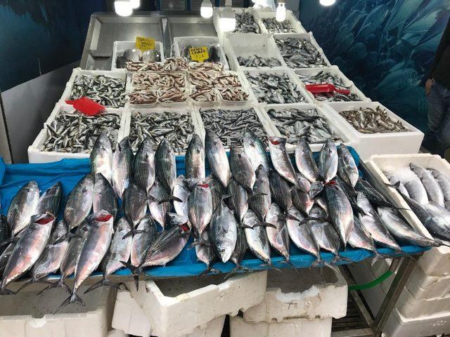 Denizdeki bereket sofraya yansıyor 1