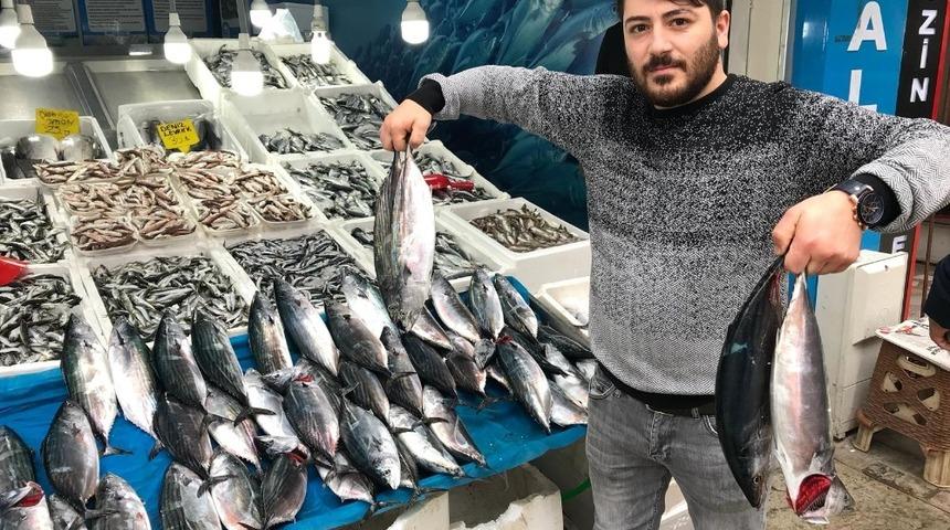 Denizdeki bereket sofraya yansıyor