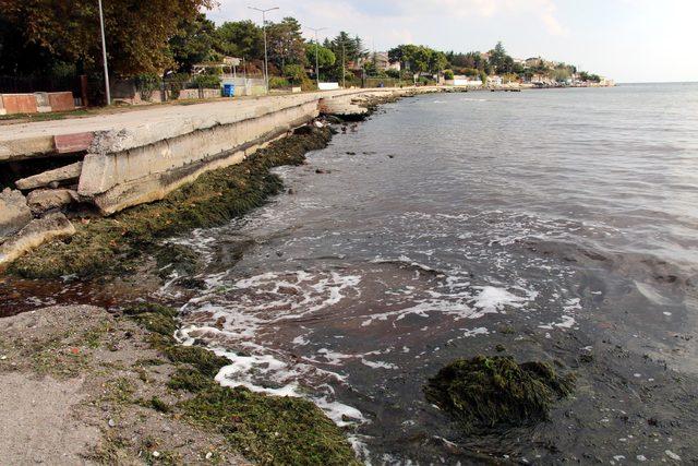 Tekirdağ'da derenin kirli aktığı bölgede denize girmek yasaklandı
