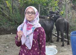 Genç çiftçiye hibe mandaları teslim edildi