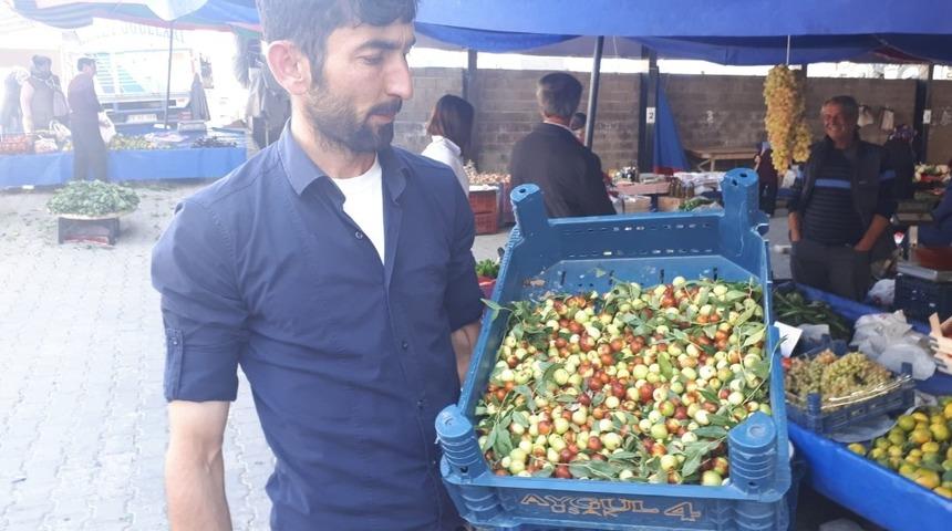 Şifa kaynağı H&uuml;nnap pazara indi