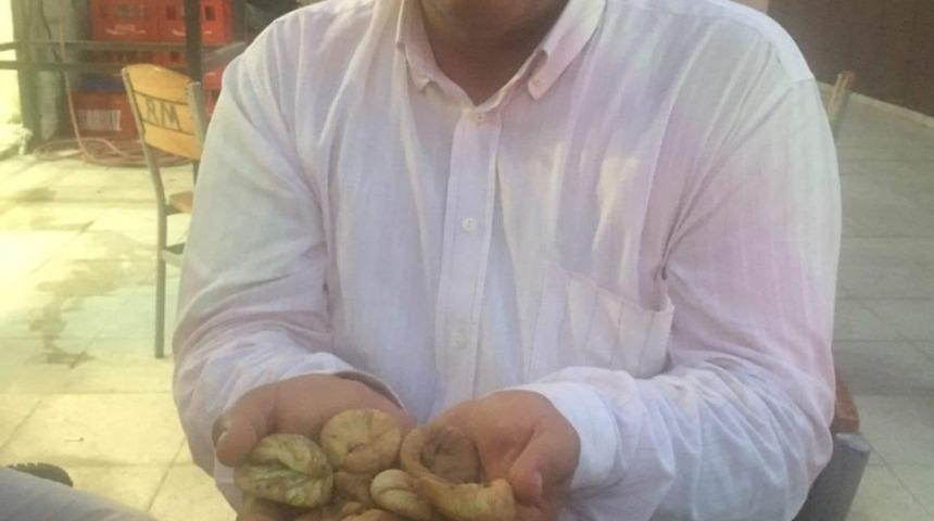 İncir doktoru Ahmet Er&rsquo;den sezon değerlendirmesi