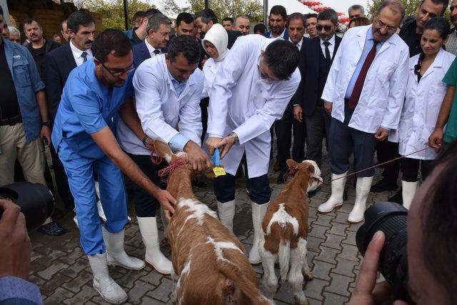 Bakan Pakdemirli: Besiciden alınan et fiyatını artırdık