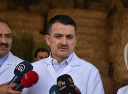 Bakan Pakdemirli: Besiciden alınan et fiyatını artırdık