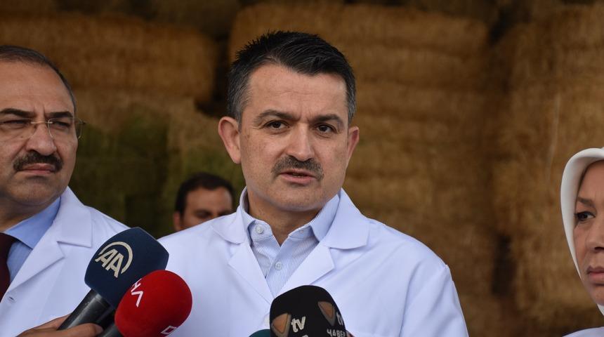 Bakan Pakdemirli: Besiciden alınan et fiyatını artırdık