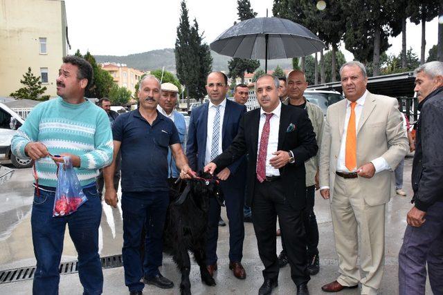 Teke adayı oğlaklar sahiplerini buldu