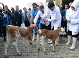 Besicilere müjdeli haber! Bakanlık duyurdu, ödeme miktarı arttırıldı