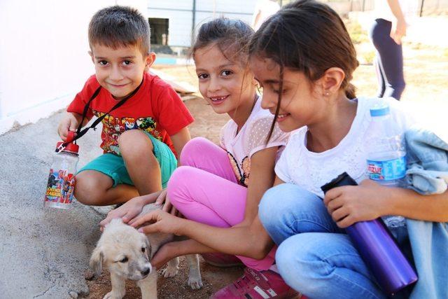 Minikler, bakıma alınan sokak hayvanlarını sevdi