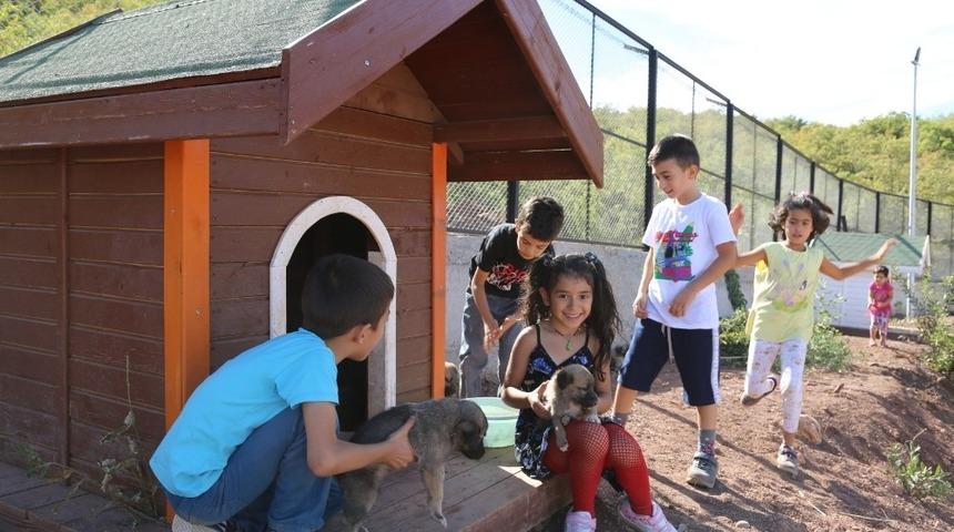 Minikler, bakıma alınan sokak hayvanlarını sevdi
