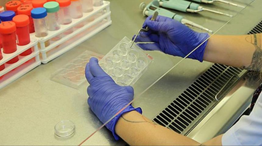 Ferritin nedir? Ferritin testi neden &ouml;nemlidir? Ferritin d&uuml;ş&uuml;kl&uuml;ğ&uuml; ne anlama gelir? 