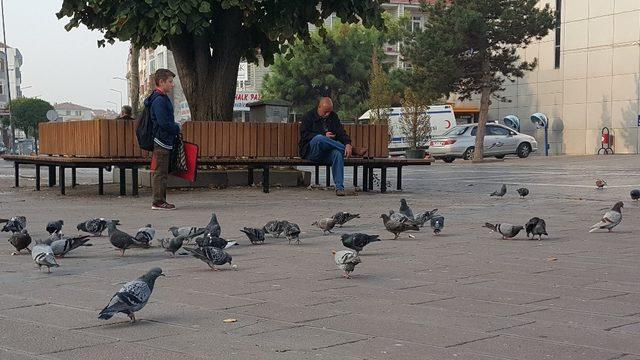 Düzce’nin güvercinli meydanları çocukların ilgi odağı oldu