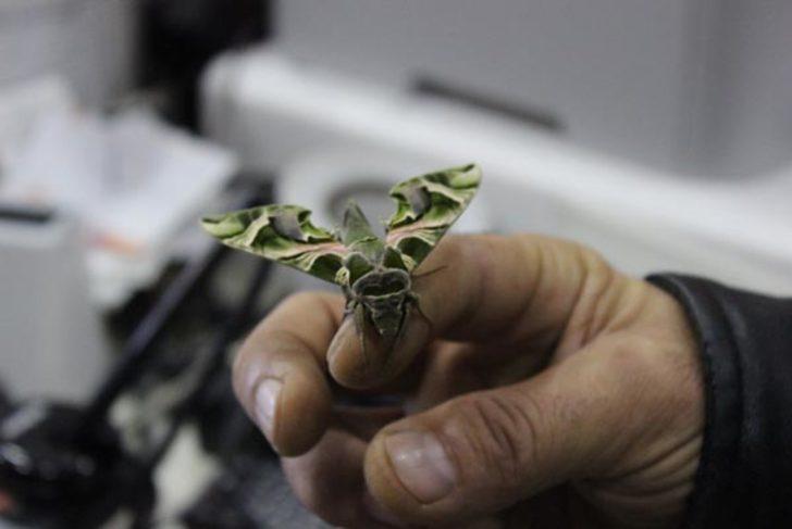 İstanbul'da görenleri şaşkına çeviren görüntü!  G4