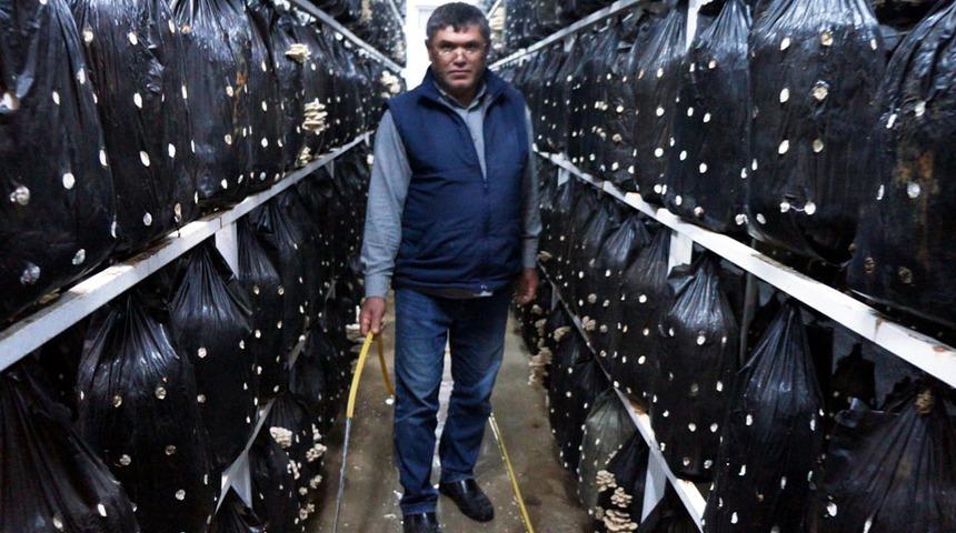 Mantardan istediği verimi aldı, işleri genişletti