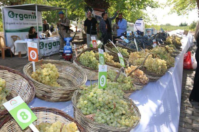 Bakan Pakdemirli: Mısırı bu yıl 950 TL'ye almaya başlıyoruz