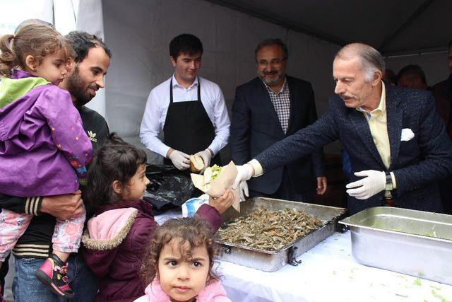 Bayrampaşa’da 10 bin kişiye hamsi dağıtıldı