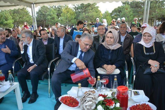 Gilaburu ve Ceviz Festivaline büyük ilgi gösterildi 4