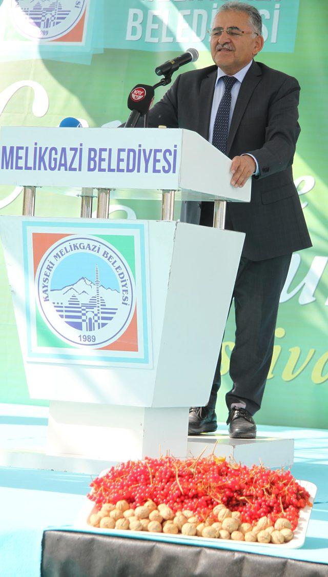 Kayseri'de 'Gilaburu ve Ceviz Festivali'