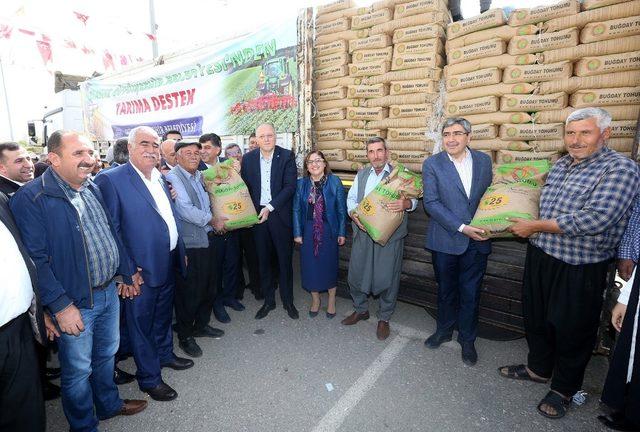 Büyükşehir buğday ve arpa tohumu dağıttı