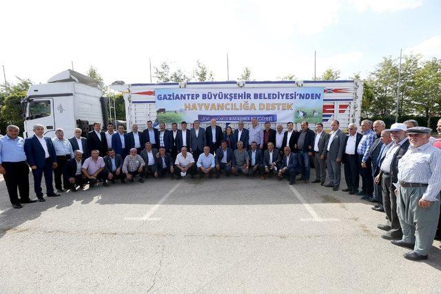 Büyükşehir buğday ve arpa tohumu dağıttı