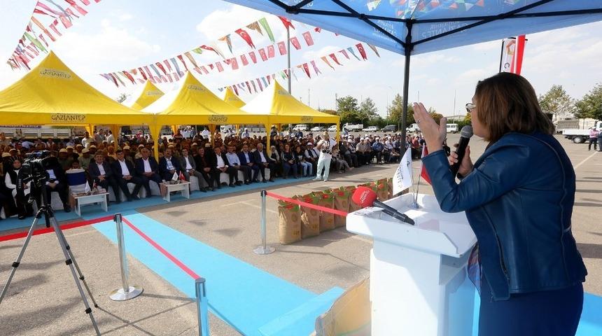 Büyükşehir buğday ve arpa tohumu dağıttı