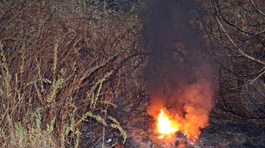 Yangından sonra ortaya çıkan kobra mahalleliyi tedirgin etti