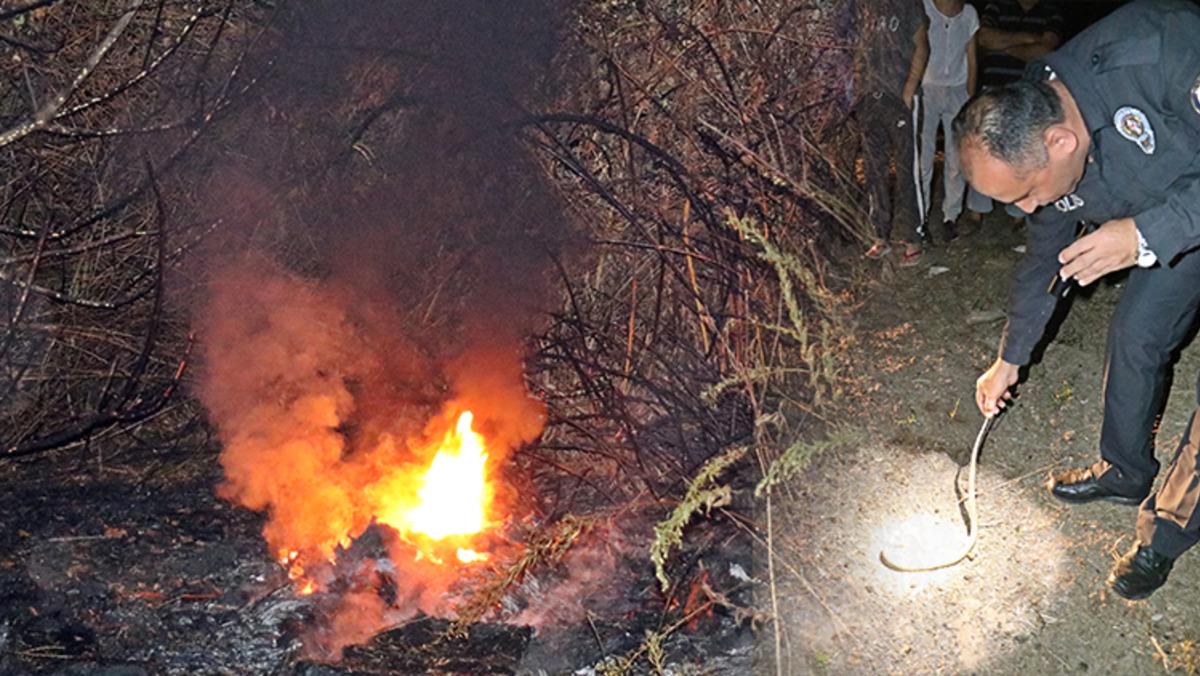 Antalya'da garip anlar! Alevlerden ka&ccedil;arken yılanla karşılaşınca...