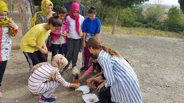 Yavru köpeğin imdadına öğrenciler yetişti