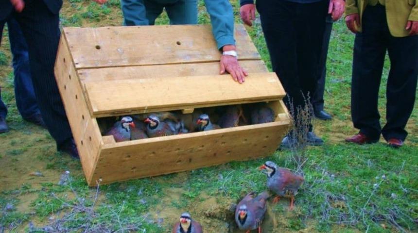 Ordu’da kene ile mücadele sürüyor