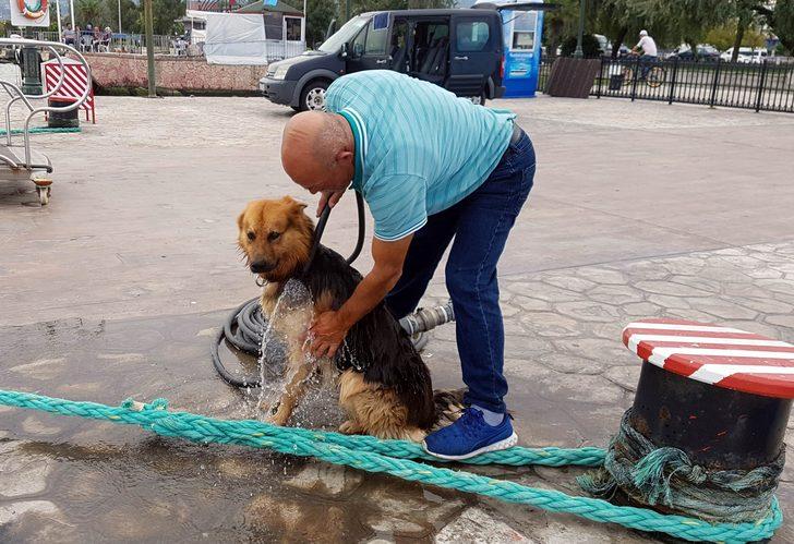 Bu köpeğin elinden her iş geliyor! Denizdeki çöpleri toplayıp yerleri süpürüyor G5