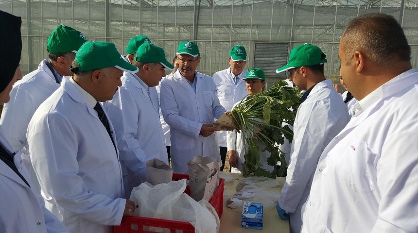 Kayseri Şeker Ar-Ge Merkezi, pancar tohum ıslah &ccedil;alışmasına hız verdi