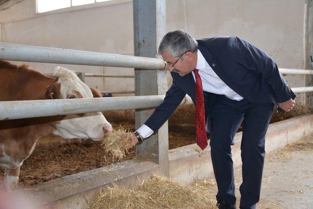 Başkan Vidinel’den besi çiftliğine ziyaret