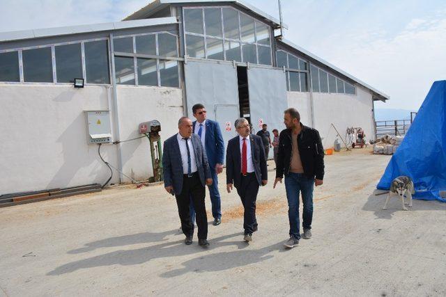 Başkan Vidinel’den besi çiftliğine ziyaret