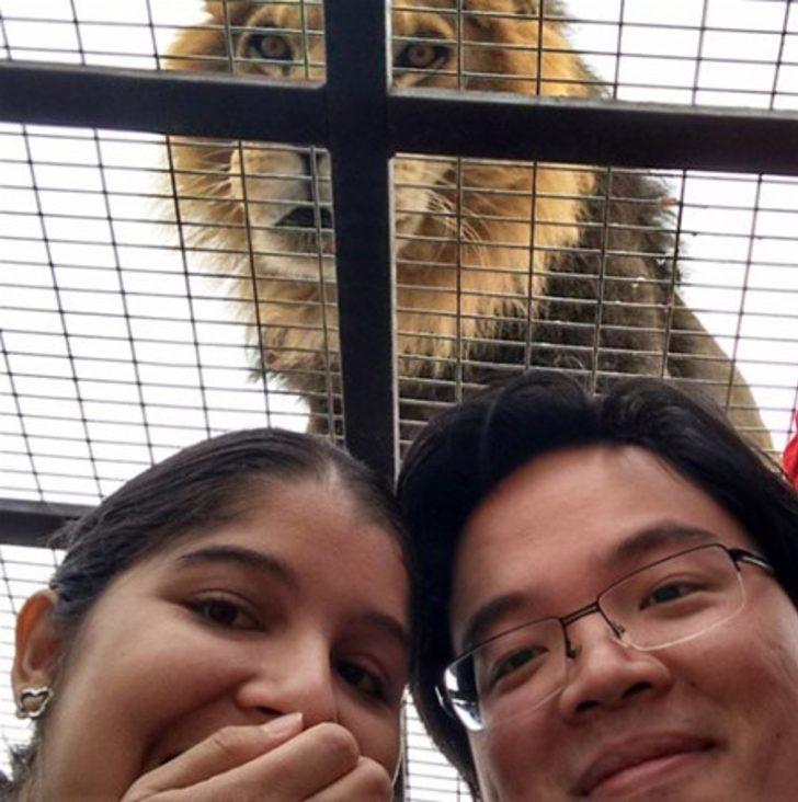 Böylesini gördünüz mü?   G2