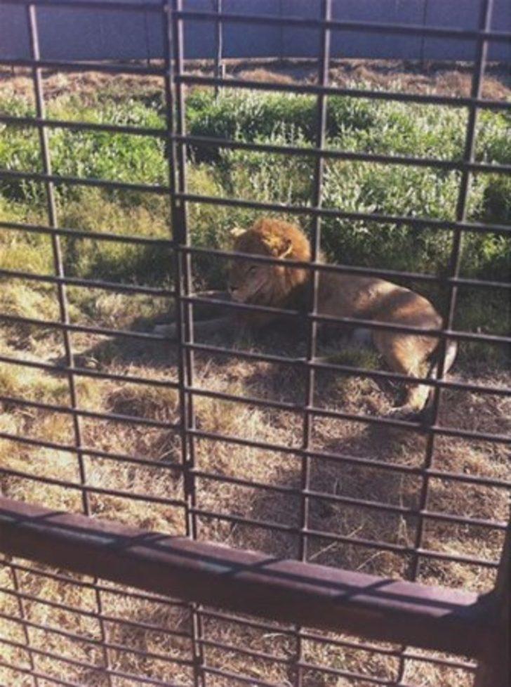 Böylesini gördünüz mü?   G5