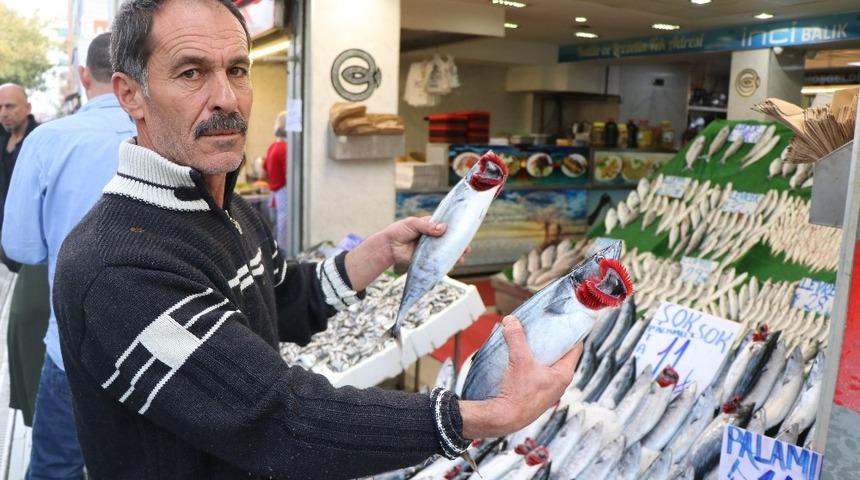 Balık&ccedil;ılarda &lsquo;Palamut&rsquo; yoğunluğu