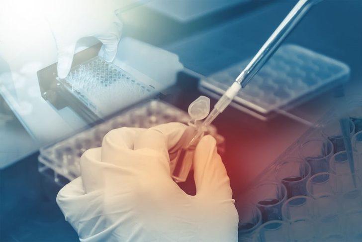 Google yapay zeka ile kanser teşhisinde doktorları gölgede bıraktı   G3