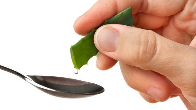 Gerçek bir doğa mucizesi Aloe Vera! İşte Aloe Veranın faydaları 