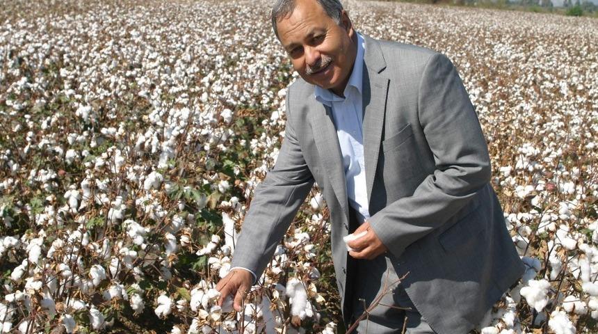S&ouml;ke Ziraat Odası&rsquo;ndan &rsquo;&Uuml;r&uuml;n Değişikliği&rsquo; uyarısı