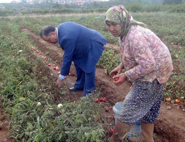 Baştuğ; “Kadın çiftçilerimiz ülke kalkınmasının lokomotifi”