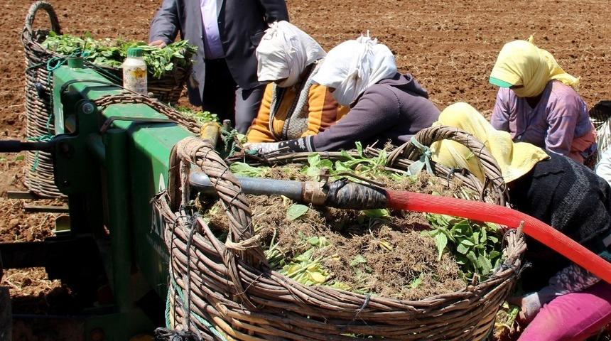Baştuğ; &ldquo;Kadın &ccedil;ift&ccedil;ilerimiz &uuml;lke kalkınmasının lokomotifi&rdquo;