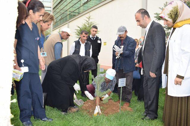 Malatya Eğitim ve Araştırma Hastanesi’nde anlamlı etkinlik