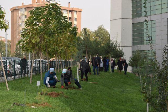 Malatya Eğitim ve Araştırma Hastanesi’nde anlamlı etkinlik