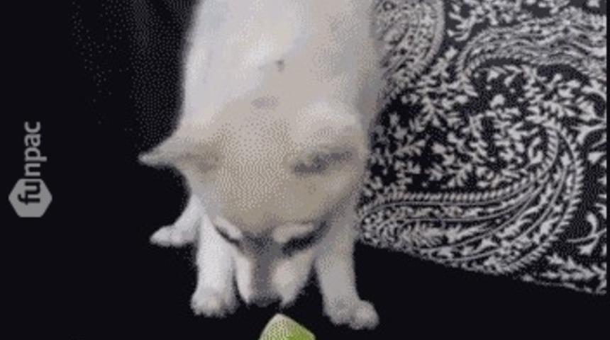 Developer D&uuml;nyasından Se&ccedil;meler