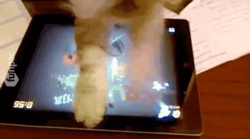 Demo &ouml;ncesi bir bug'ı d&uuml;zeltirken...