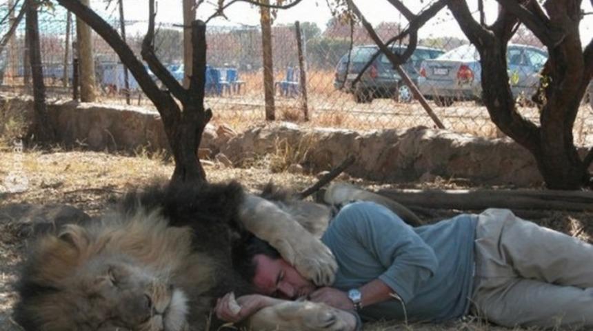 Vahşi oyun (5 Fotoğraf)