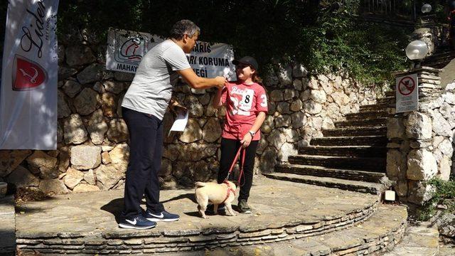 Marmaris’te köpek güzellik yarışması yapıldı