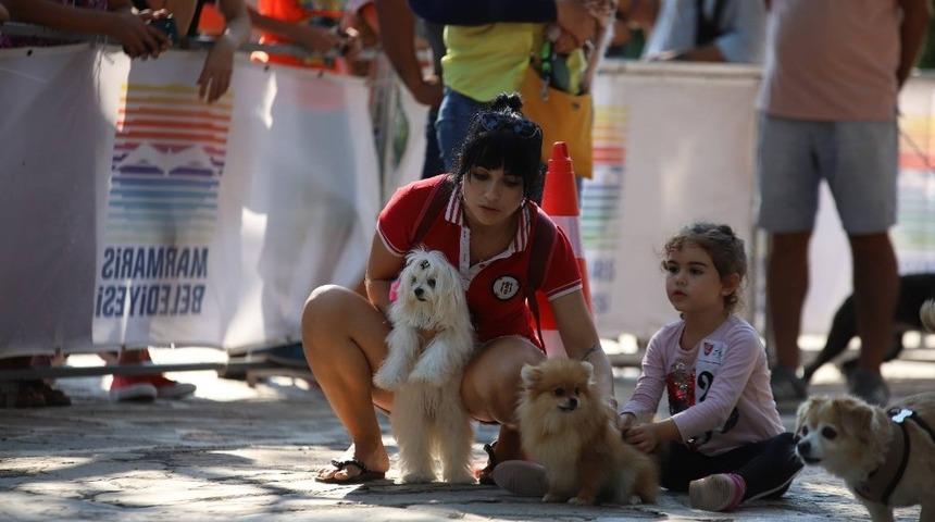Marmaris&rsquo;te k&ouml;pek g&uuml;zellik yarışması yapıldı