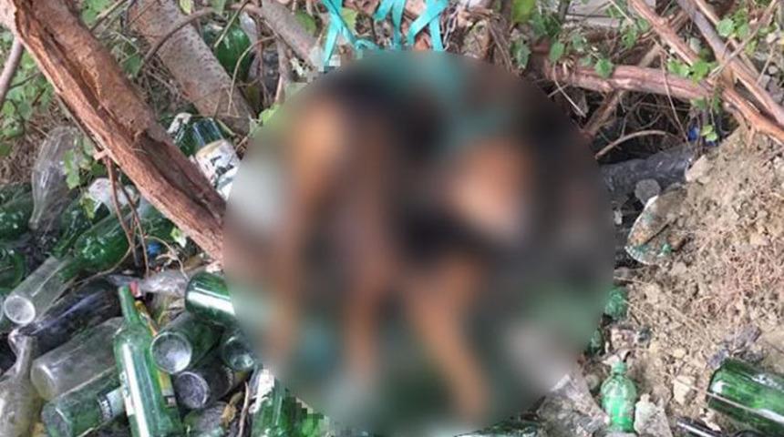 Tekirdağ'da vahşet! İplerle ağaca bağlayıp köpeğe tecavüz ettiler