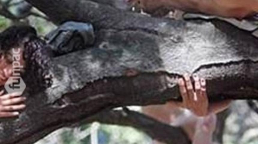 Y&uuml;zlerde tebess&uuml;m bırakan 10 tutuklanma